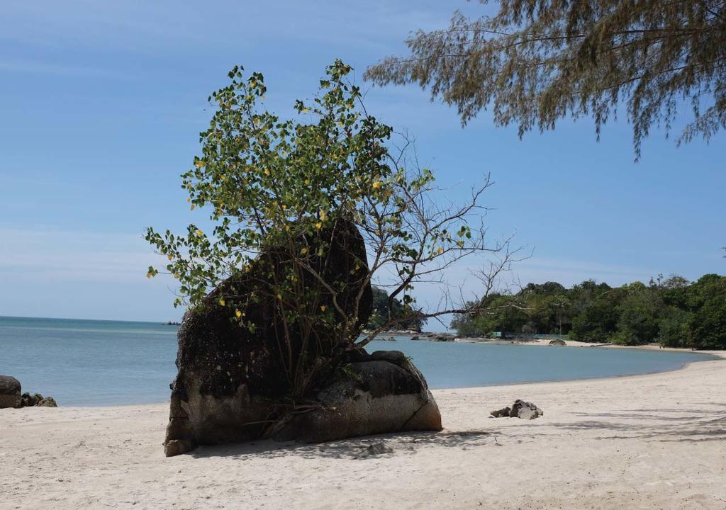 Panji Panji Tropical Wooden Home Pantai Cenang  Extérieur photo